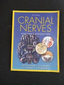 CRANIAL NERVES