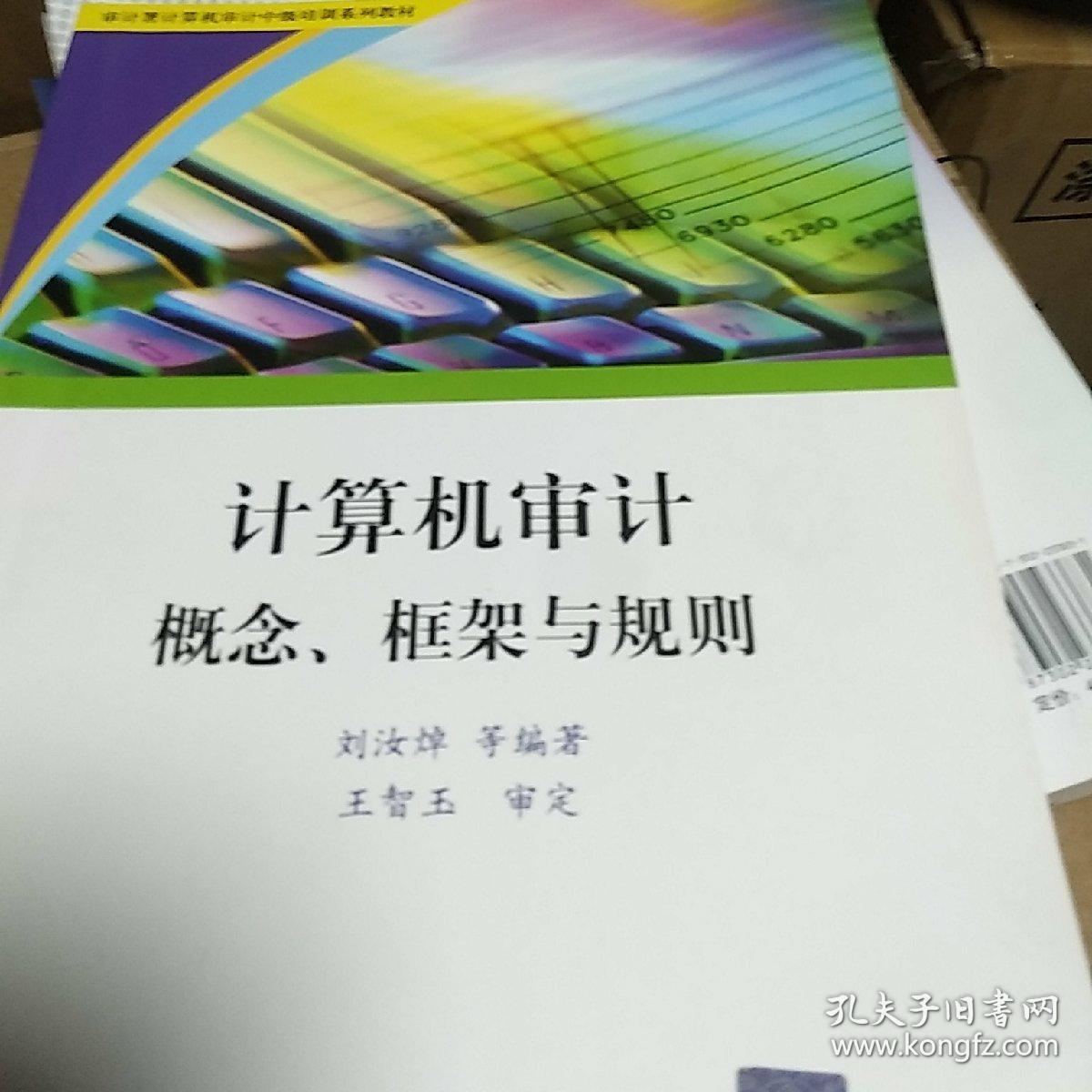 计算机审计：概念、框架与规则