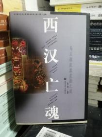 中国文化史探秘丛书(第二辑)-西汉亡魂