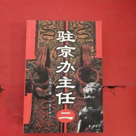 驻京办主任（二）