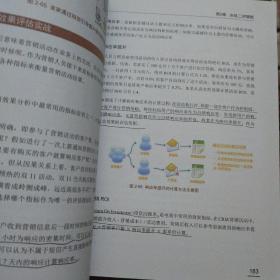 实战电商系列 网店CRM（全彩）