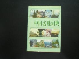 中国名胜词典  文化部文物局 主编  上海辞书出版社  九五品