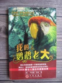 我的鹦鹉老大