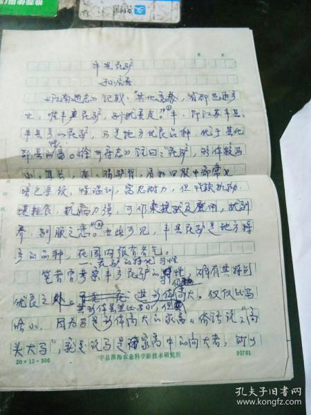 《丰县花驴》手稿 现任丰县农校推广中心副主任、高级农艺师，南京农业大学特聘校外教学副教授。孙启善长期从事小麦栽培技术研究。主持了“小麦优化同步栽培”、“小麦节水栽培”等研究，提出了小麦“胎苗期”、“茎蘖动态平衡”、“优化同步灌浆”等栽培理论、技术。专著《小麦优化同步发育栽培技术》和《节能温室种养技术》等两篇论文分别获苏、鲁、豫、皖科协协作区11市)和省农林厅优秀论文一等奖。