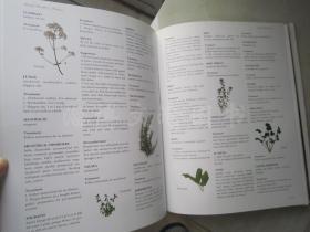 The Illustrated Herbal Encyclopedia 【大16开精装 英文原版】（图解药用本草百科全书）