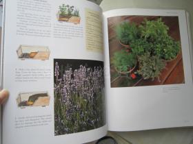 The Illustrated Herbal Encyclopedia 【大16开精装 英文原版】（图解药用本草百科全书）