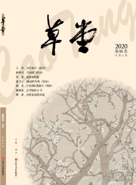 《草堂》诗刊2020年第5期，全新