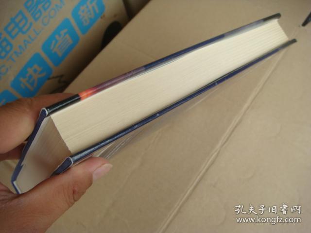 Dangerous Markets: Managing in Financial Crises [危险市场：金融风险时的管理]