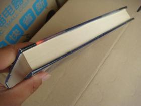 Dangerous Markets: Managing in Financial Crises [危险市场：金融风险时的管理]