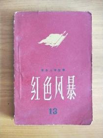 红色风暴~江西革命斗争故事 第十三集 13