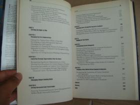 Dangerous Markets: Managing in Financial Crises [危险市场：金融风险时的管理]