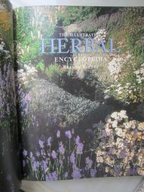 The Illustrated Herbal Encyclopedia 【大16开精装 英文原版】（图解药用本草百科全书）