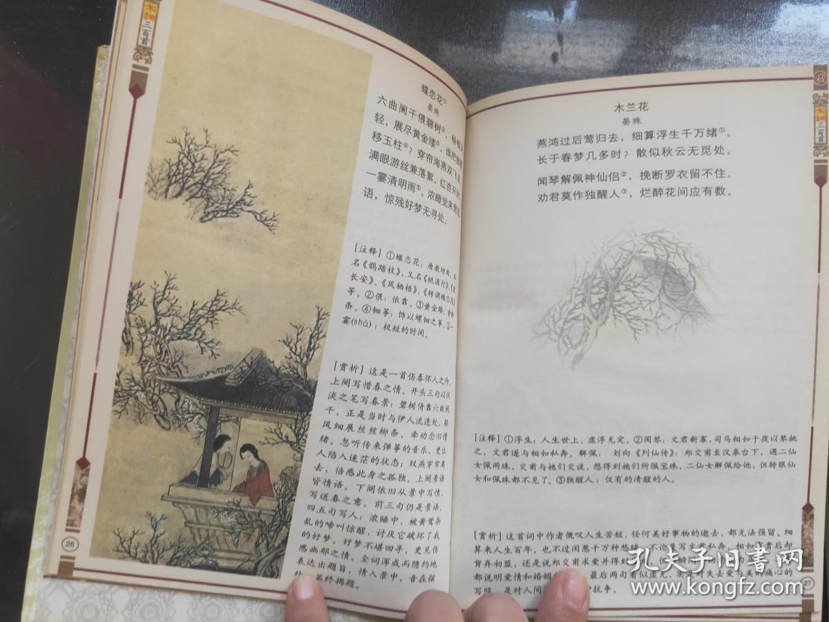 彩图版—中国古典文学名著——宋词三百首(上下)(精装版)