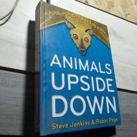 Animals Upside Down  A Pull, Pop, Lift & Learn Book!