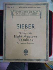 外国原版钢琴乐谱  schirmers library of musical classics vol.112 sieber op.93