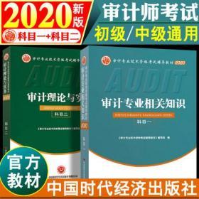 官方正版2020初中级审计师考试教材-审计专业相关知识+审计理论与实务(共2本)初级中级通用