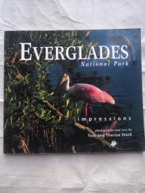 Everglades National Park Impressions