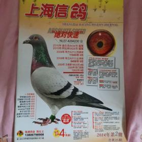 上海信鸽2014年1-2-3-4四期合售 包挂刷