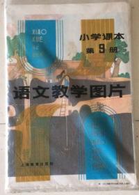 1982年教学挂图 上海教育出版社 小学课本第九册 语文教学图片 全套原封原装