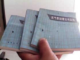 燃气燃烧理论与实践【代售】馆藏