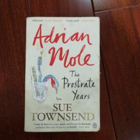 英文原版Adrian Mole: The Prostrate years