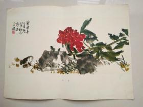 8开活页画册散页：芍药