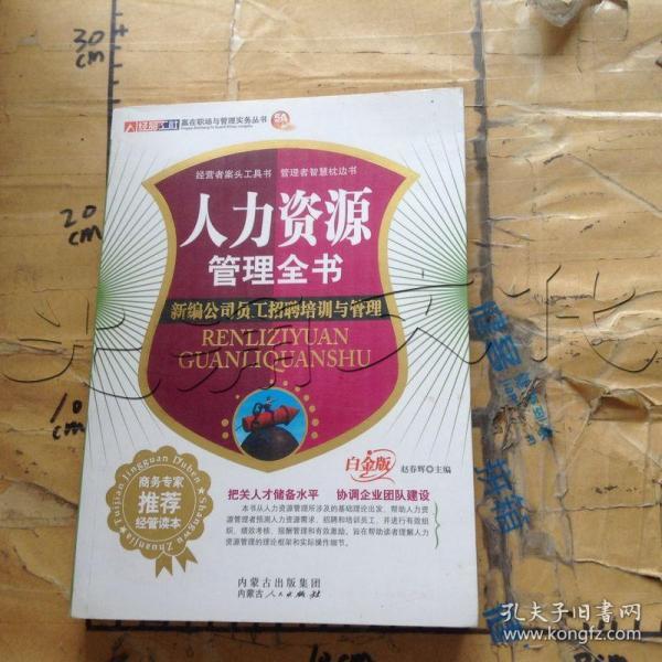 网络营销实务全书：突破传统营销平台的全新模式