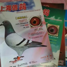 上海信鸽杂志2009年四期合售包挂刷