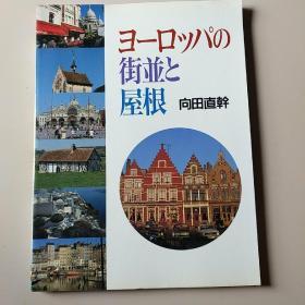 ヨ一口ツバの街并と屋根(日文原版)