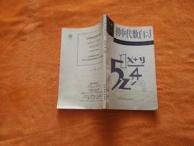 初中代數(shù)自習(xí)（二年級(jí)、第三冊(cè)、第二學(xué)期）【無(wú)筆記】