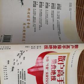 散户高手操盘绝技