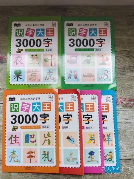 幼儿学前识字大王3000字全套6册 幼小衔接一日一练全套识字教材 幼儿园大班中班小班一年级3-4-5-6岁幼升小看图识字神器儿童启蒙早教认字书