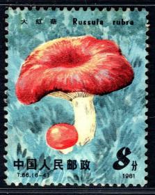 实图保真T66 6-4 食用菌 大红菇 新票上品邮票散票原胶1