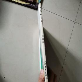 性感燃烧酒井法子写真,珍藏版