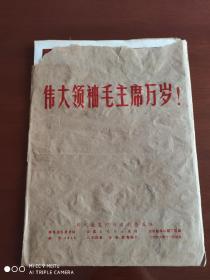 《伟大领袖毛主席万岁》新闻展览照片农村普及版