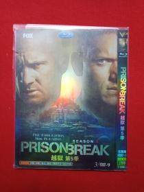 DVD-9光碟存2碟片1盒装FOX完整版《越狱：Prison Break第5季》2017年（葛·艾坦尼斯执导，保罗·舒尔灵编剧，温特沃思·米勒和多米尼克·珀塞尔主演）