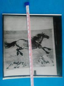 徐悲鸿1935年国画老照片 画面落款是：“此去天涯将焉托？伤心竟爽亦徒然 ！ 志舟 主席雅赏  二十四年 悲鸿”请参考详细描述