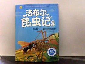 蛛蜂-聪明的捕蛛猎手