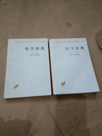 （汉译世界学术名著丛书）哲学辞典（上下）