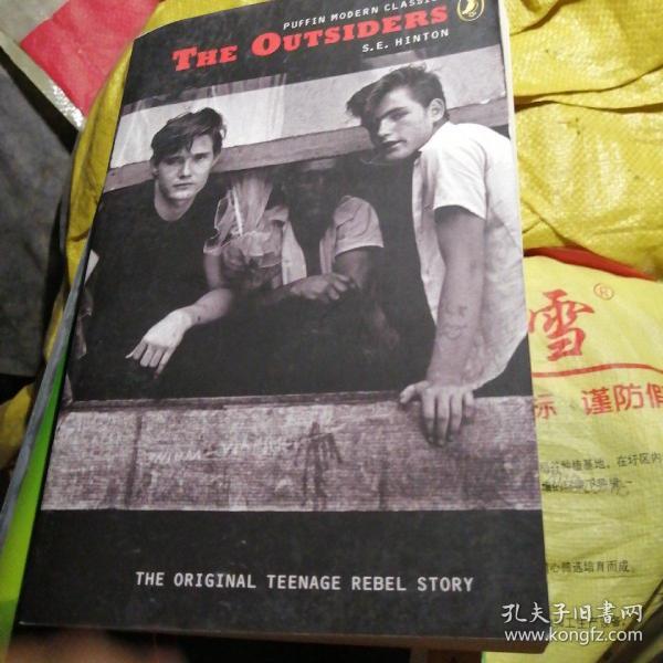 The Outsiders (Puffin Modern Classics) 局外人 9780141314570