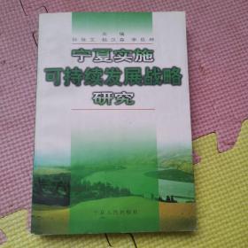 宁夏实施可持续发展战略研究