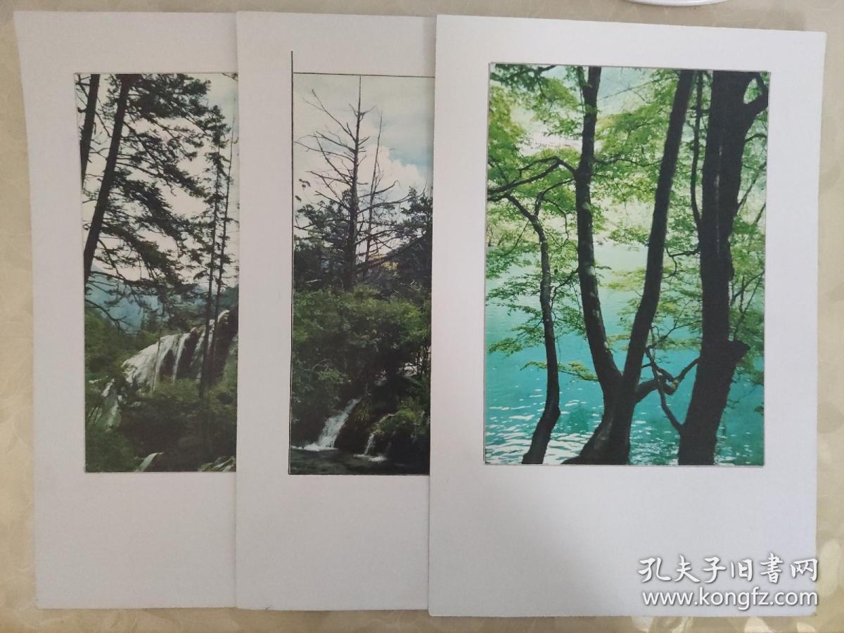 彩色照片：三峡山峰上的美丽风景 彩色照片---竖版  照片后有硬纸板做背景         共3张照片售     彩色照片箱3   00197
