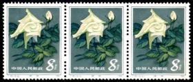 实图保真新中国邮票T93月季花散票8分新票3枚连票集邮收藏品
