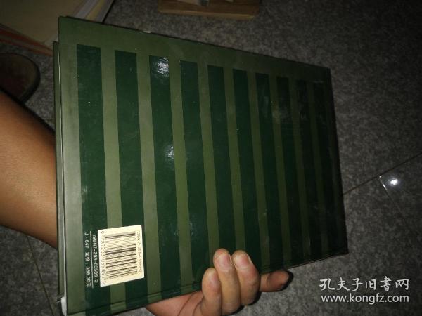 1996-2005中国艺术品拍卖十年菁华录