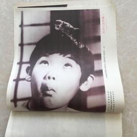 日本彩色故事片《栗色的小天使》电影海报剧情剧照(8张)