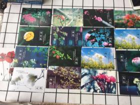 明信片/花间词 17张合售