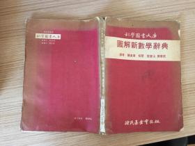 图解新数学辞典（科学图书大库）