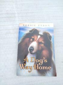 正版 A Dog's Way Home