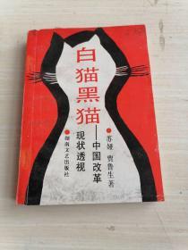 白猫黑猫