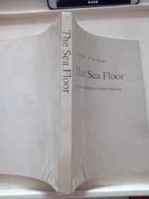 The Sea Floor: An Introduction to Marine Geology